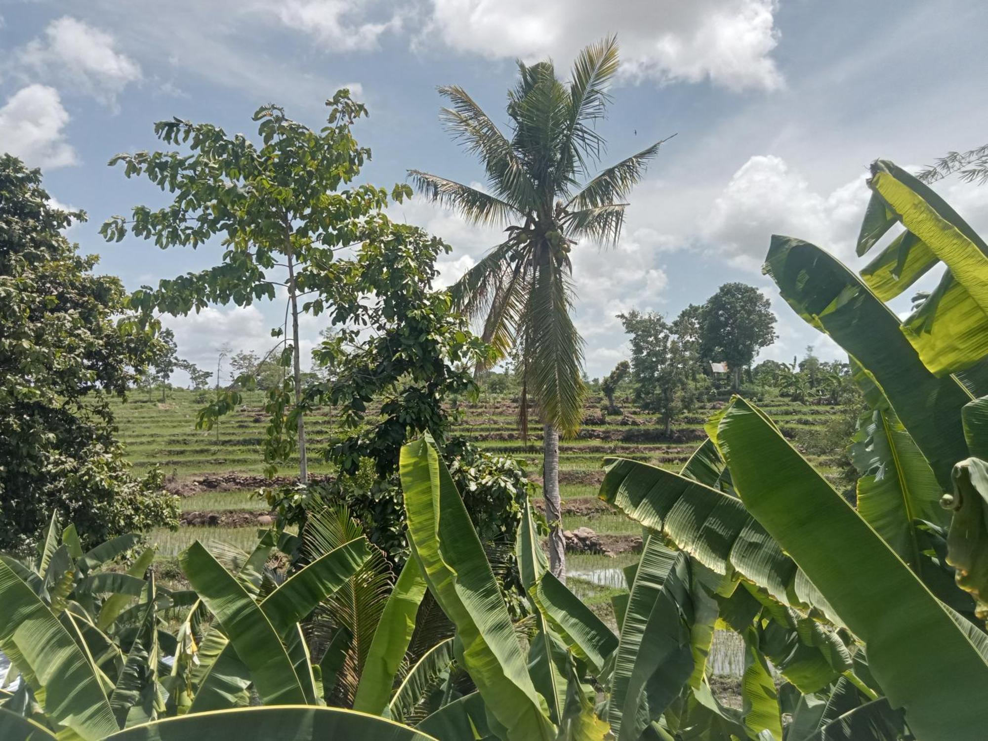 Bulan Homestay Plambi Bagian luar foto