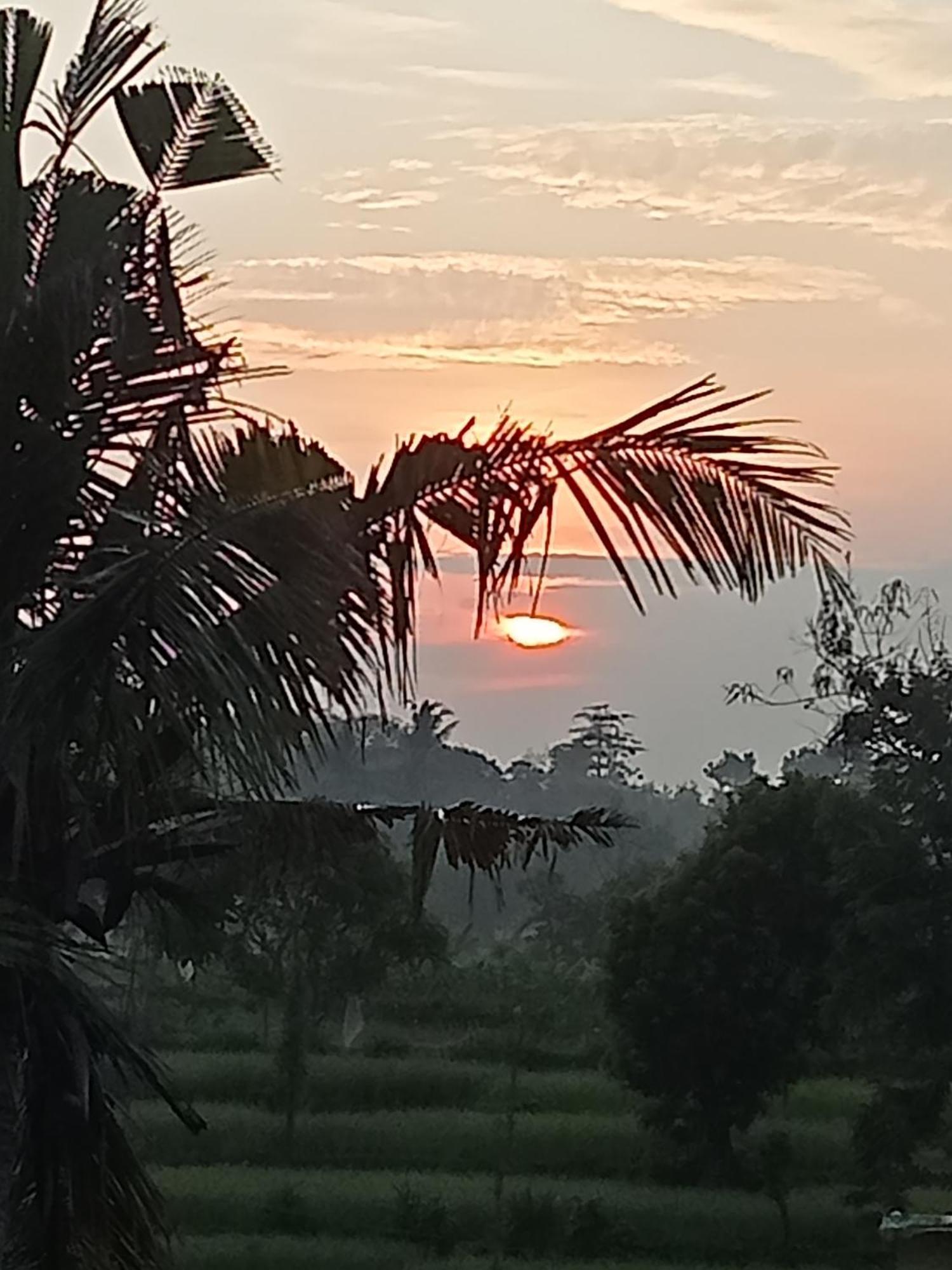 Bulan Homestay Plambi Bagian luar foto